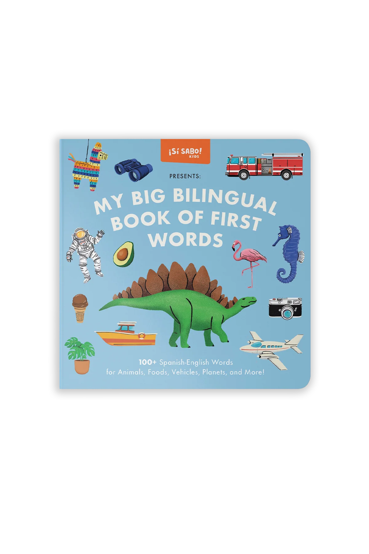 My Big Bilingual Book of First Words